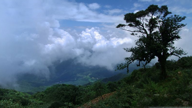 Vườn quốc gia Phia Oắc – Phia Đén hay còn gọi với tên khác là Phja Oắc – Phja Đén được biết đến là rừng đặc dụng nằm trên địa bàn 5 xã của huyện Nguyên Bình, tỉnh Cao Bằng.