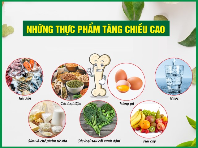 Thực phẩm tăng chiều cao là phần được coi là sự hỗ trợ cải thiện đáng kể chiều cao của một người. Ngoài ra, chiều cao của chúng ta còn bị ảnh hưởng bởi yếu tố gen, lối sống, vận động, chế độ dinh dưỡng cũng có ảnh hưởng lớn đến sự tăng trưởng về thể chất và chiều cao.